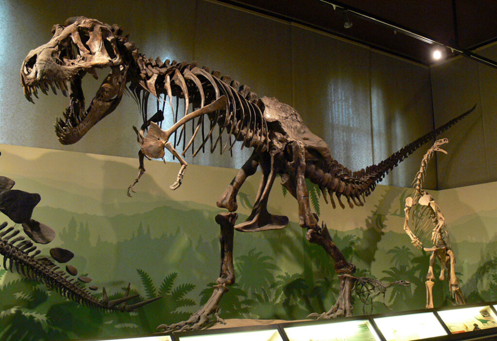 Questa immagine ha l'attributo alt vuoto; il nome del file è Tirannosauro-e-Plateosauro-1024x703.jpg